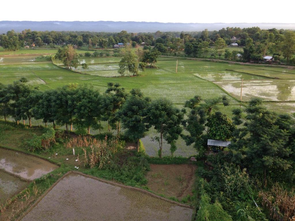 Chautari Garden Resort | Comfortable Stay in Chitwan, Nepal - ROAMWINGS.COM